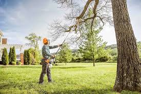 Leaf Removal in Shannon, MS